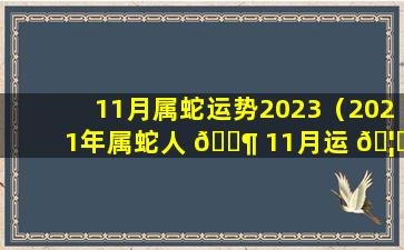 11月属蛇运势2023（2021年属蛇人 🐶 11月运 🦊 势）